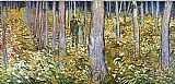 Couple walking in the forest